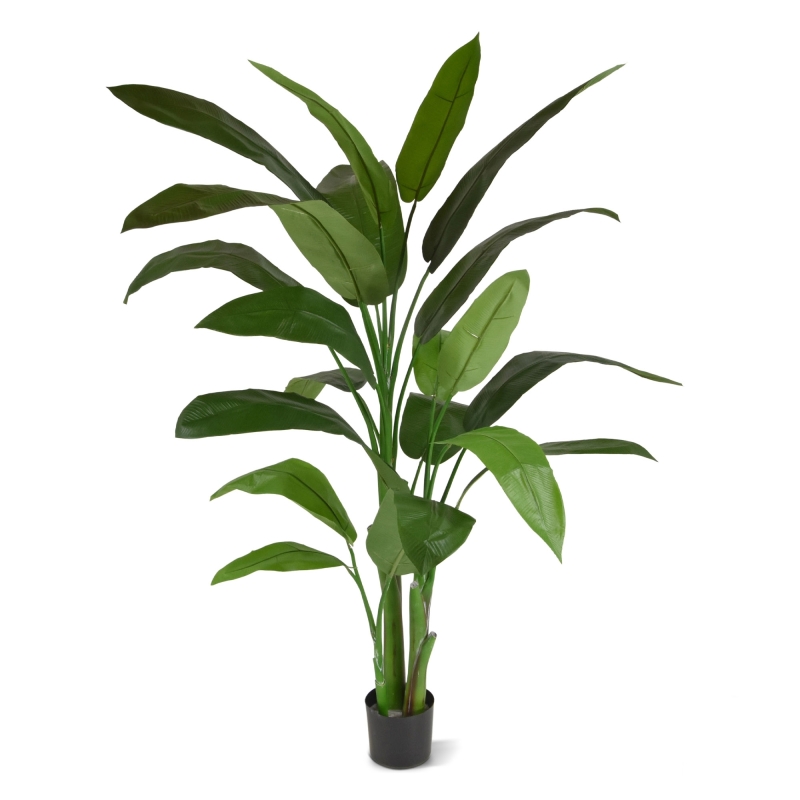 Heleconia artificiale verde 170 cm in vaso