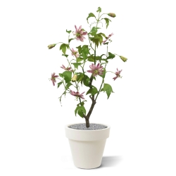 Fiore artificiale Passion 90cm - rosa