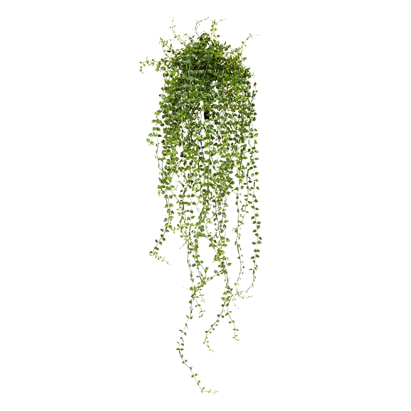 Callisia artificiale da appendere 70 cm - Resistente ai raggi UV