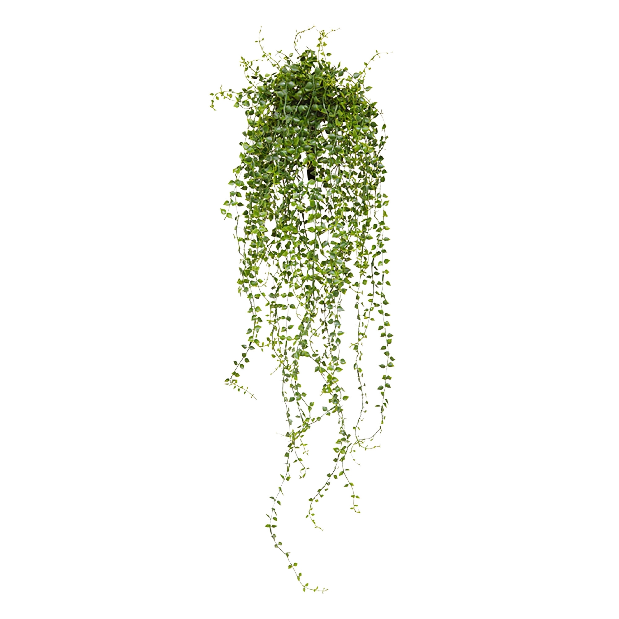 Callisia artificiale da appendere 70 cm - Resistente ai raggi UV