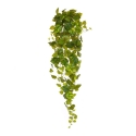 Pothos artificiale sospeso 130 cm varigato