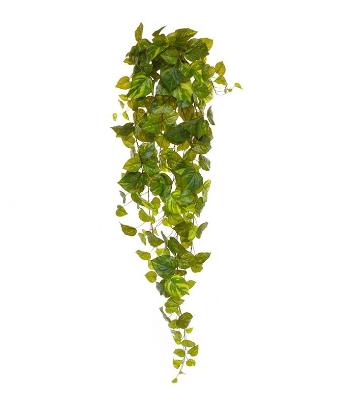 Pothos artificiale sospeso 130 cm varigato