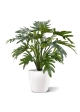 Philodendron Xanadu pianta artificiale 50 cm