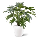 Philodendron Xanadu pianta artificiale 50 cm