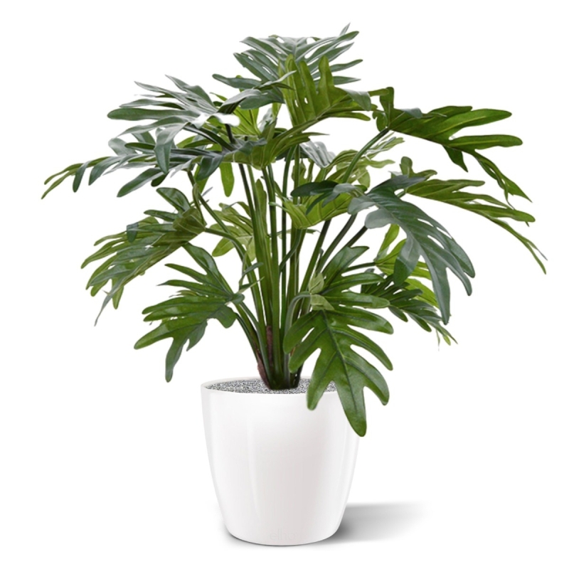Philodendron Xanadu pianta artificiale 50 cm