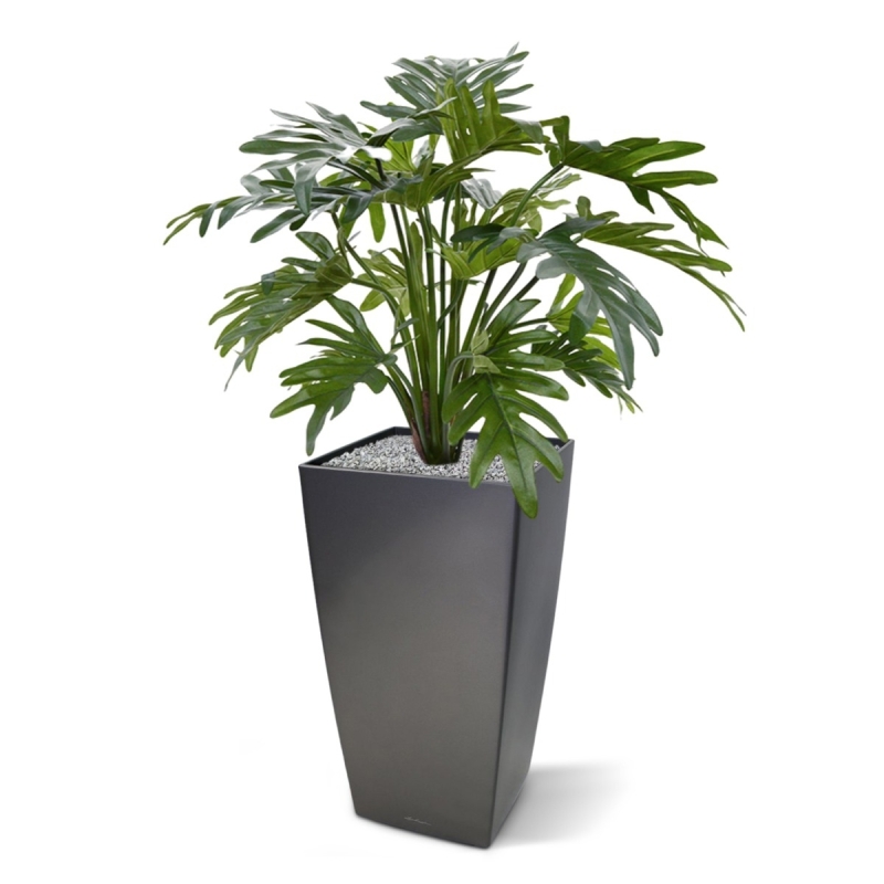 Philodendron Xanadu pianta artificiale 50 cm