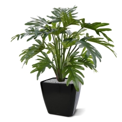 Philodendron Xanadu pianta artificiale 50 cm