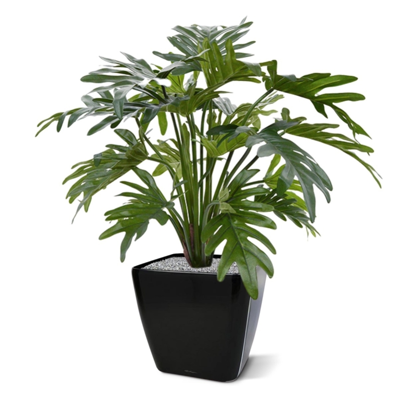 Philodendron Xanadu pianta artificiale 50 cm