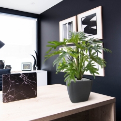 Philodendron Xanadu pianta artificiale 50 cm