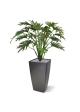 Philo Xanadu pianta artificiale 65 cm