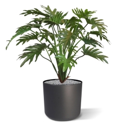Philo Xanadu pianta artificiale 65 cm