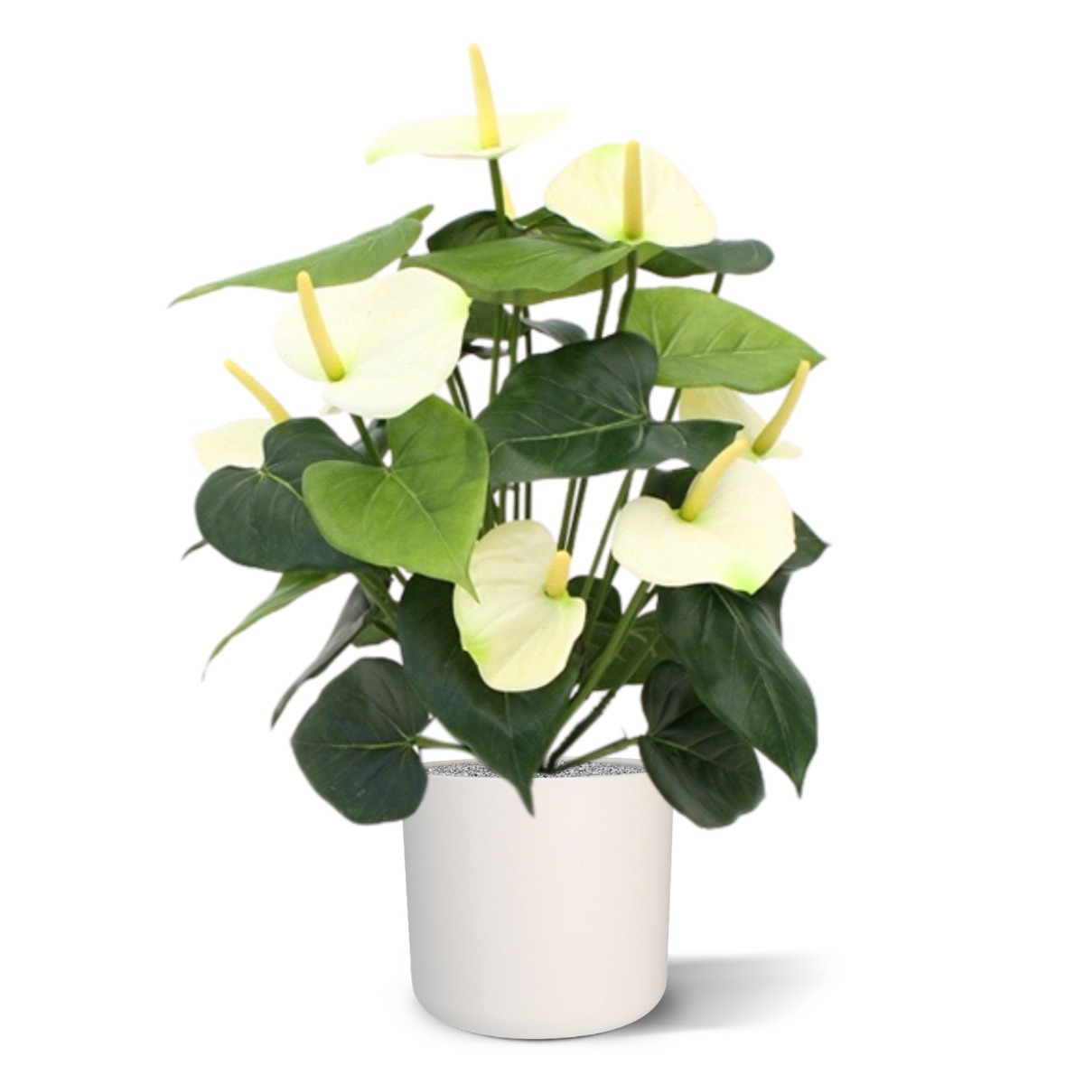 Pianta artificiale Anthurium deluxe 50 cm - crema