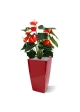 Pianta artificiale Anthurium deluxe 50 cm - rosso