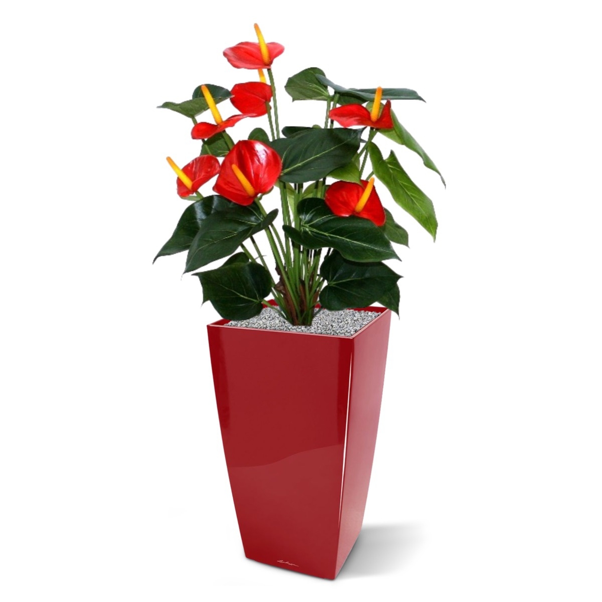 Pianta artificiale Anthurium deluxe 50 cm - rosso