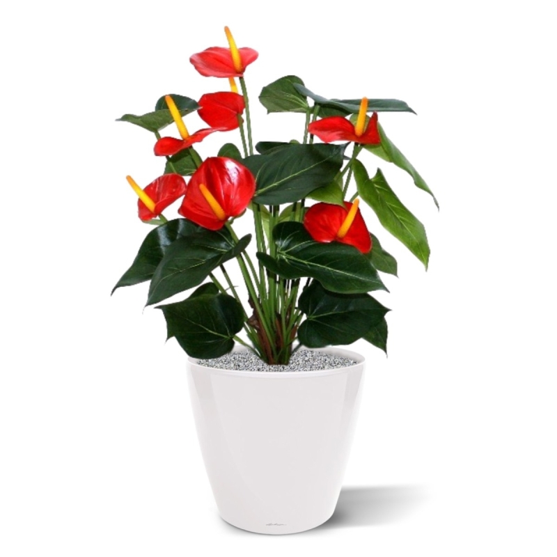 Pianta artificiale Anthurium deluxe 50 cm - rosso