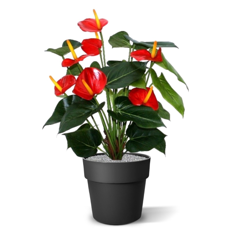 Pianta artificiale Anthurium deluxe 50 cm - rosso