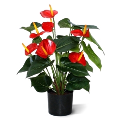 Pianta artificiale Anthurium deluxe 50 cm - rosso