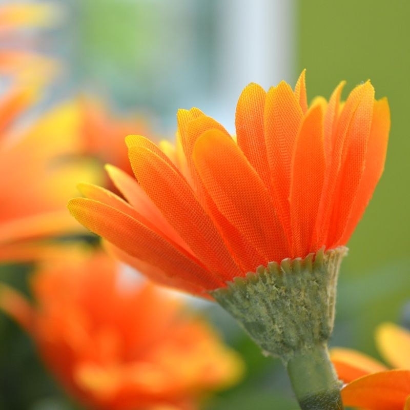 Bouquet artificiale di Gerbera 30 cm arancione