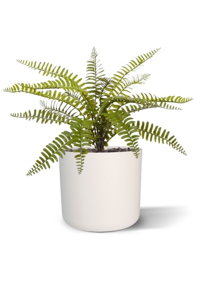 Bouquet di felci artificiali Asplenium 35 cm