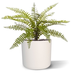 Bouquet di felci artificiali Asplenium 35 cm