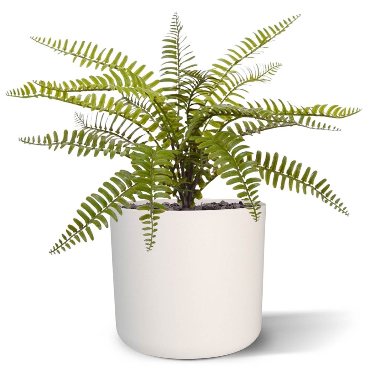 Bouquet di felci artificiali Asplenium 35 cm