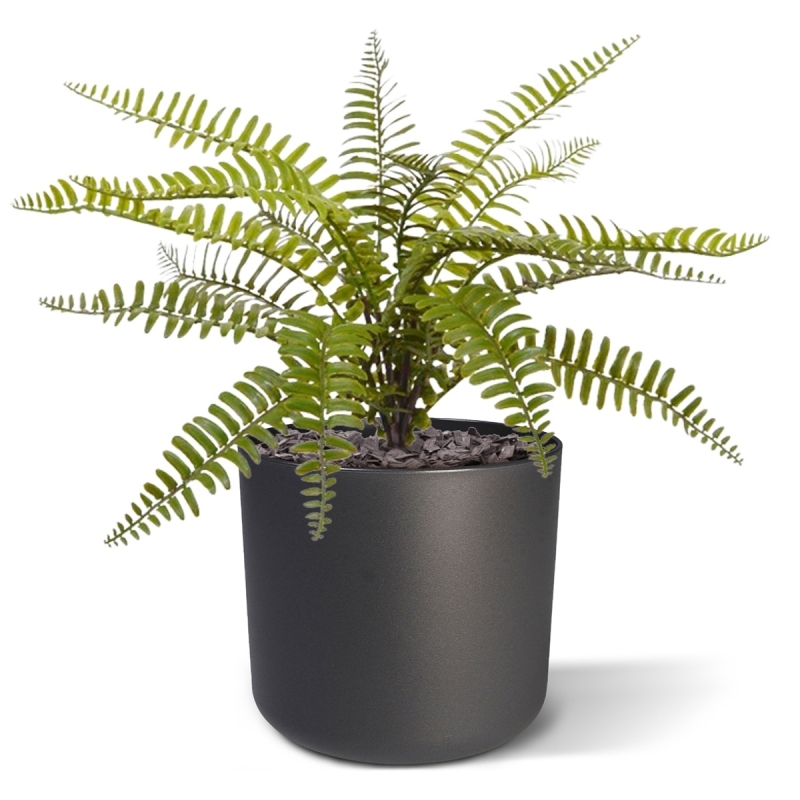 Bouquet di felci artificiali Asplenium 35 cm