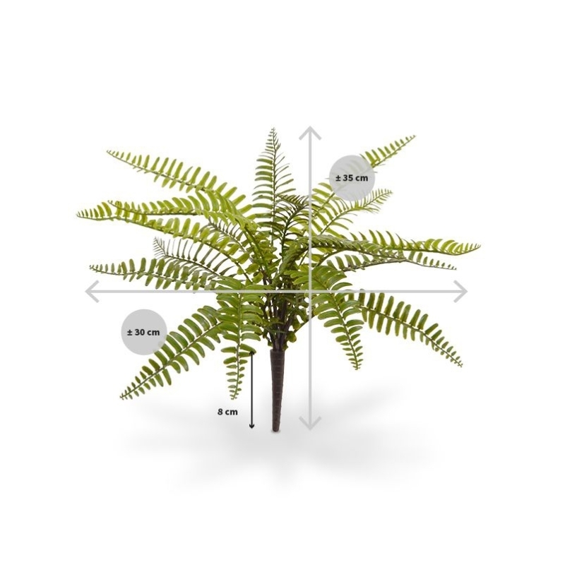 Bouquet di felci artificiali Asplenium 35 cm