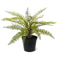 Bouquet di felci artificiali Asplenium 35 cm