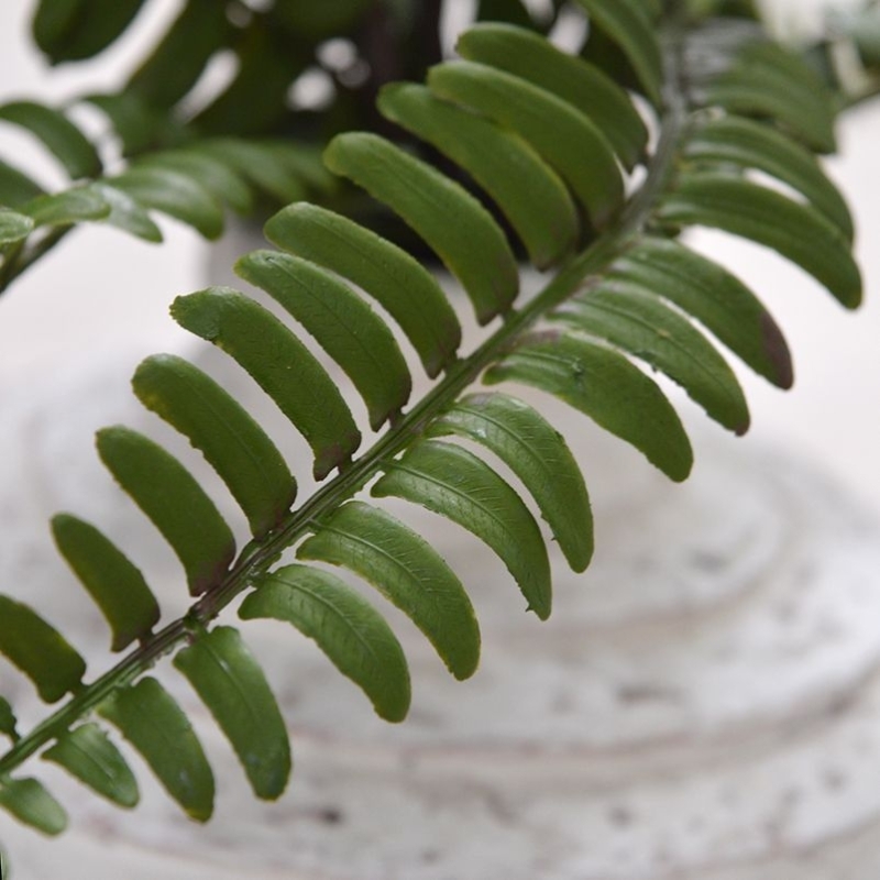 Bouquet di felci artificiali Asplenium 35 cm