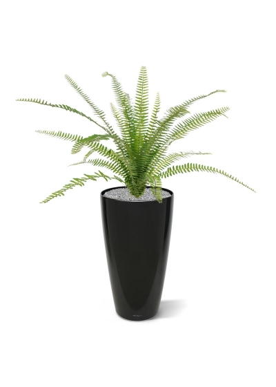 Asplenium artificiale Farn bouquet 75 cm