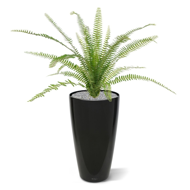 Asplenium artificiale Farn bouquet 75 cm