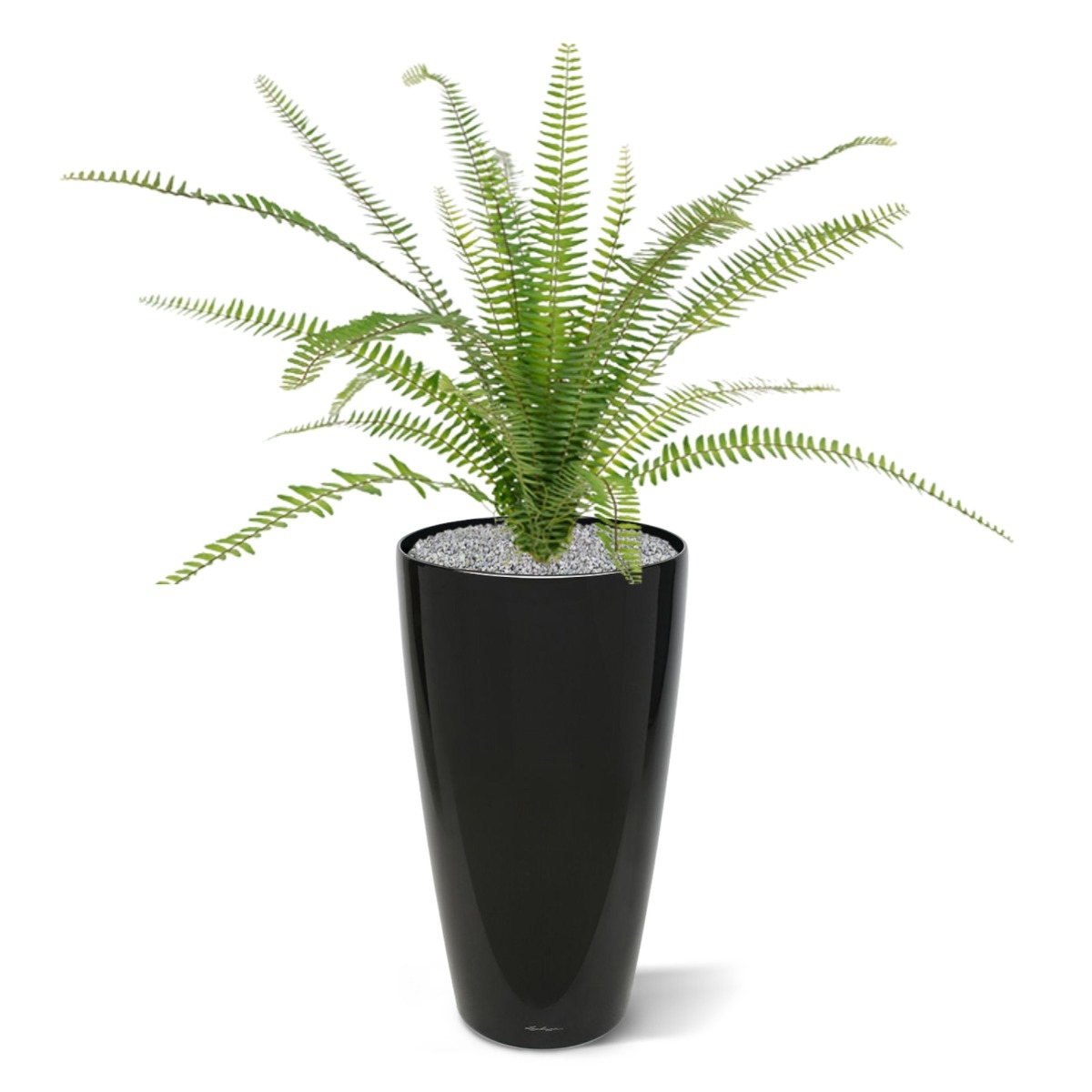 Asplenium artificiale Farn bouquet 75 cm
