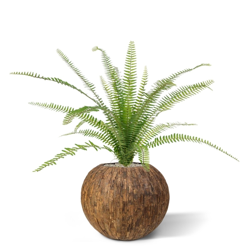 Asplenium artificiale Farn bouquet 75 cm