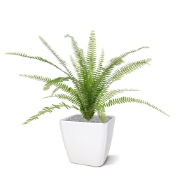 Asplenium artificiale Farn bouquet 75 cm