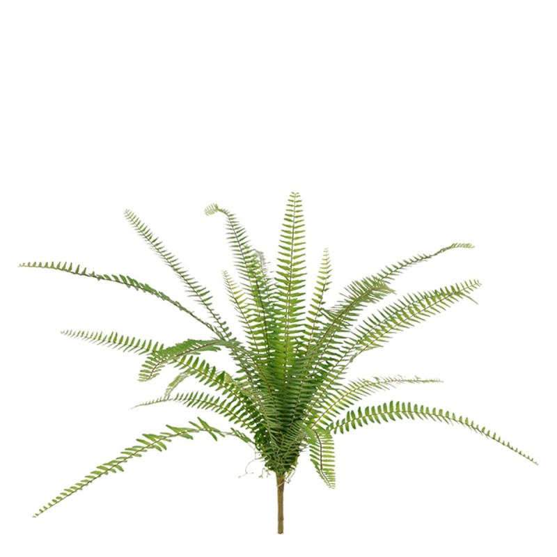 Asplenium artificiale Farn bouquet 75 cm