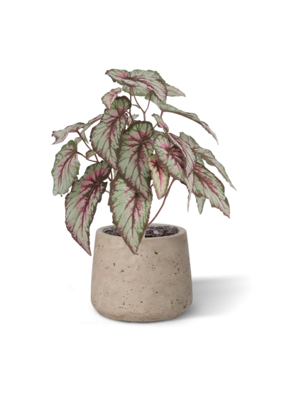 Cespuglio di Begonia Artificiale 33cm