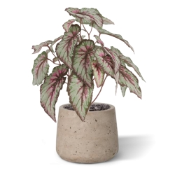 Cespuglio di Begonia Artificiale 33cm
