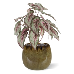 Cespuglio di Begonia Artificiale 33cm