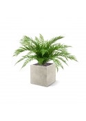 Bouquet di felci artificiali Alsophilla 75 cm UV