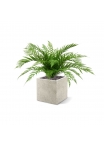 Bouquet di felci artificiali Alsophilla 75 cm UV