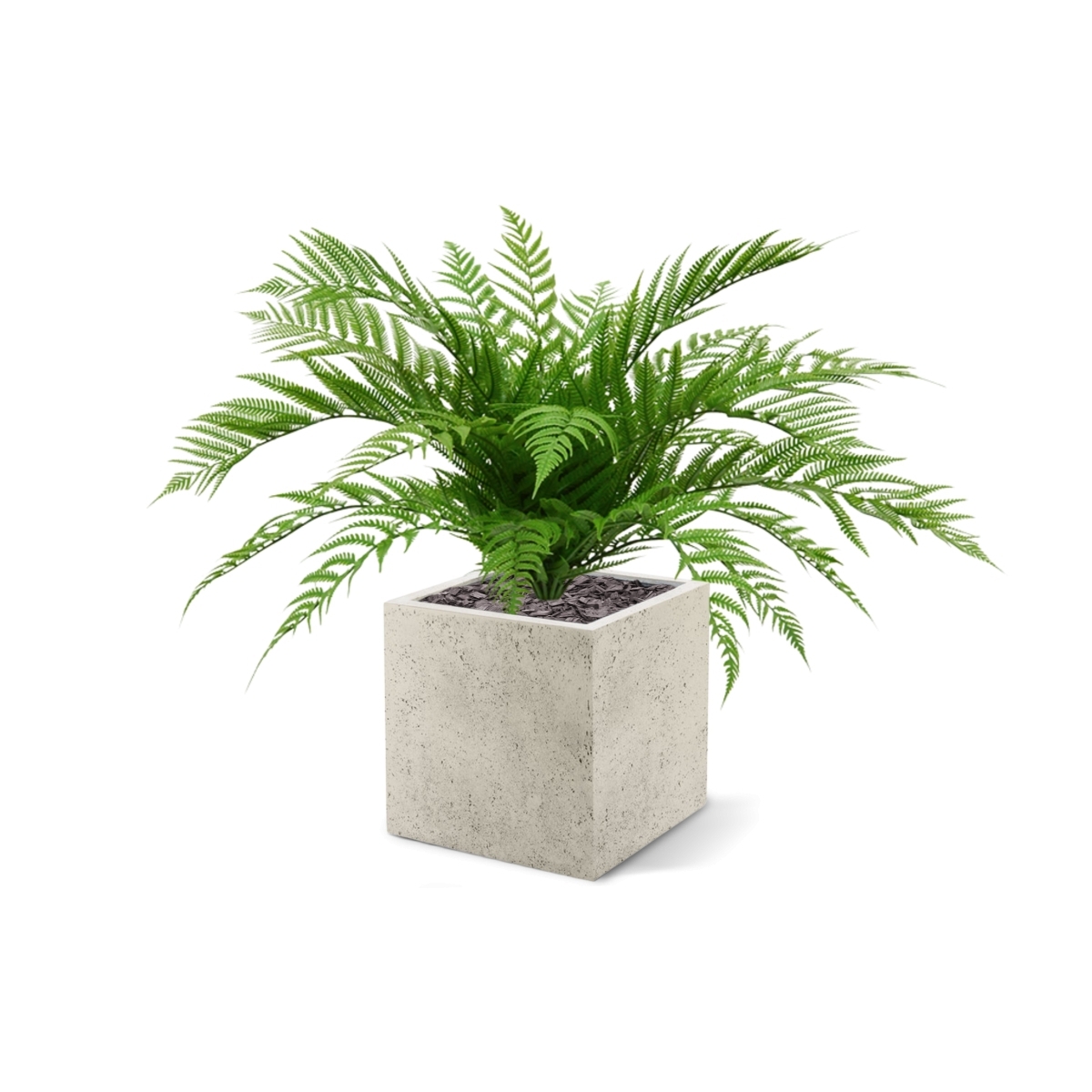 Bouquet di felci artificiali Alsophilla 75 cm UV