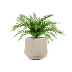 Bouquet di felci artificiali Alsophilla 75 cm UV