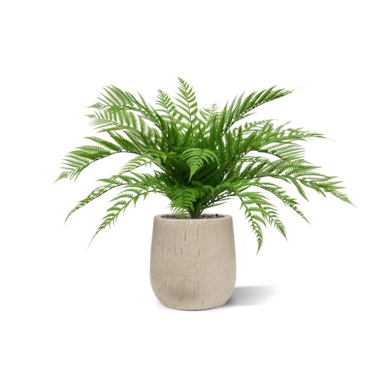 Bouquet di felci artificiali Alsophilla 75 cm UV