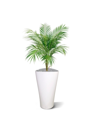 Bouquet artificiale di palme Areca 80 cm