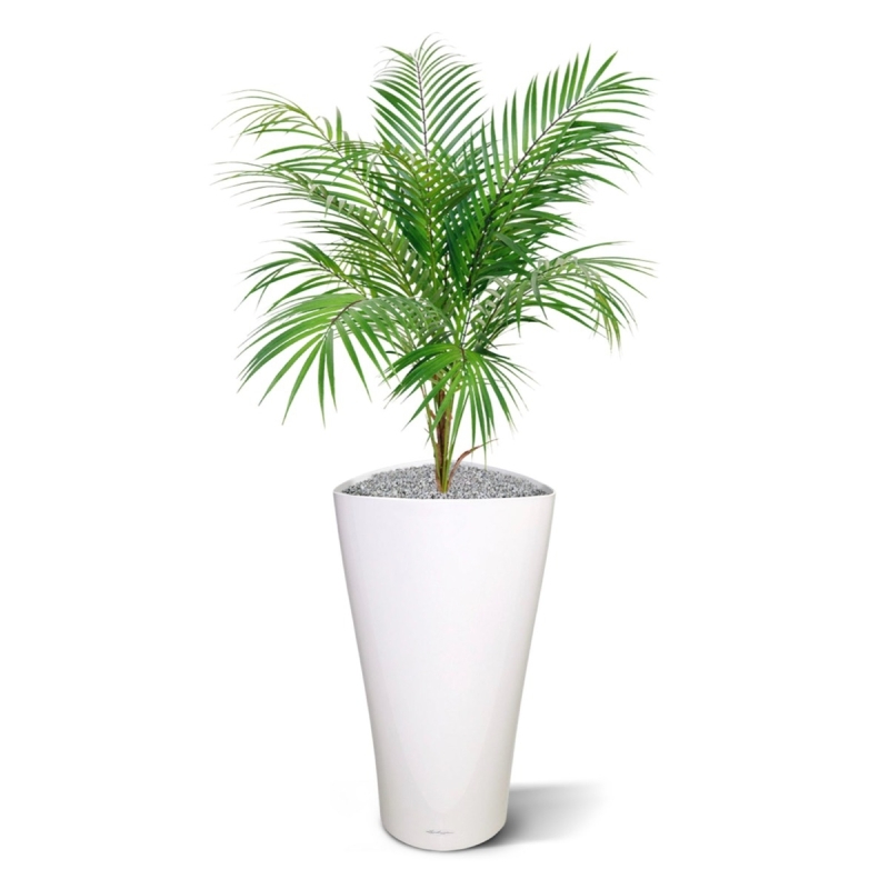 Bouquet artificiale di palme Areca 80 cm