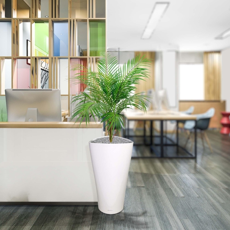 Bouquet artificiale di palme Areca 80 cm