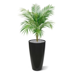 Bouquet artificiale di palme Areca 80 cm