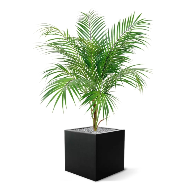 Bouquet artificiale di palme Areca 80 cm