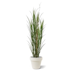 Pianta di erba artificiale Reed deluxe 165 cm - verde - resistente ai raggi UV
