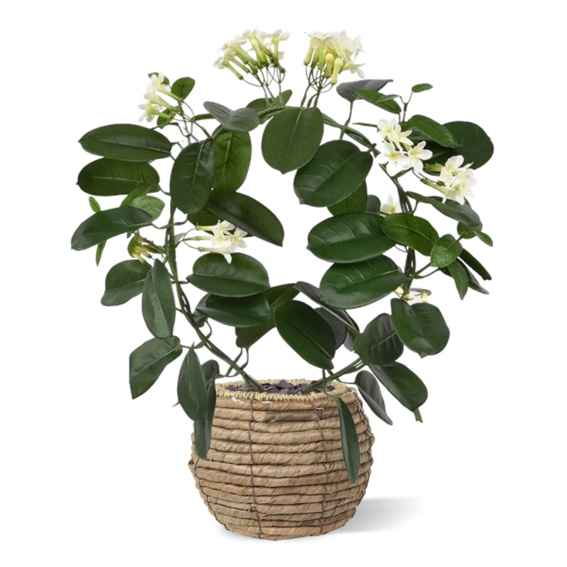 Pianta artificiale Stephanotis 40 cm